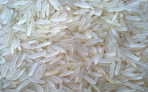 قیمت خرید برنج طارم هاشمی بابل استان مازندران با فروش عمده